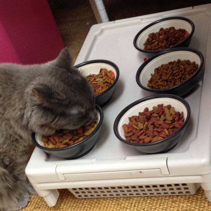 B6c3c7a8 b1d8 4809 ace1 54cb27ad68f1