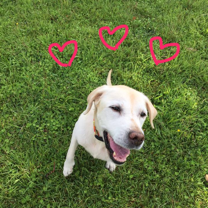 B6c40cab 8808 48ef b215 07533bdde68b