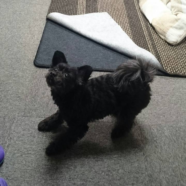 B6c4ecc2 1dd0 4ea1 87a1 0dd55cfc7ae8