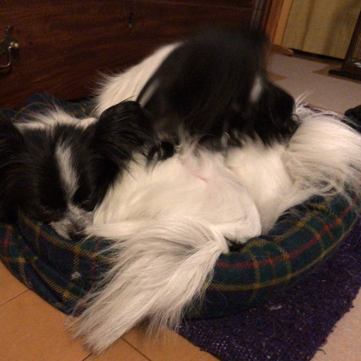 B6c5092d 7d70 468f a416 bebf82be1030