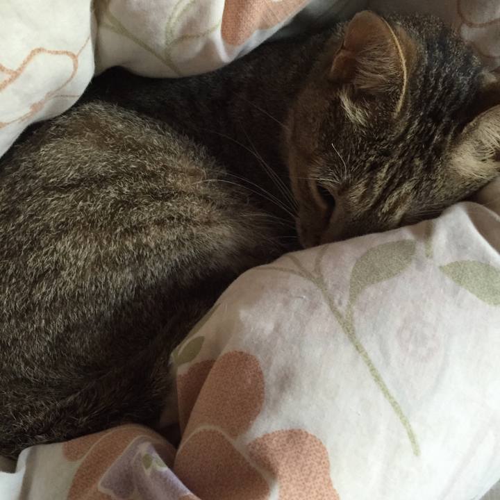 B6c522a1 9424 466d 94c3 be06fe9a0631