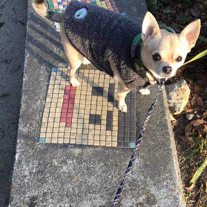 B6c58405 8387 41d2 baae e6bd851a33a2