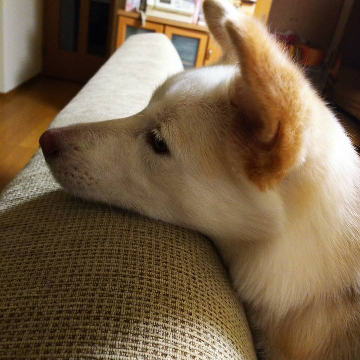 B6c5be47 7750 483f 9c33 715d0695443f