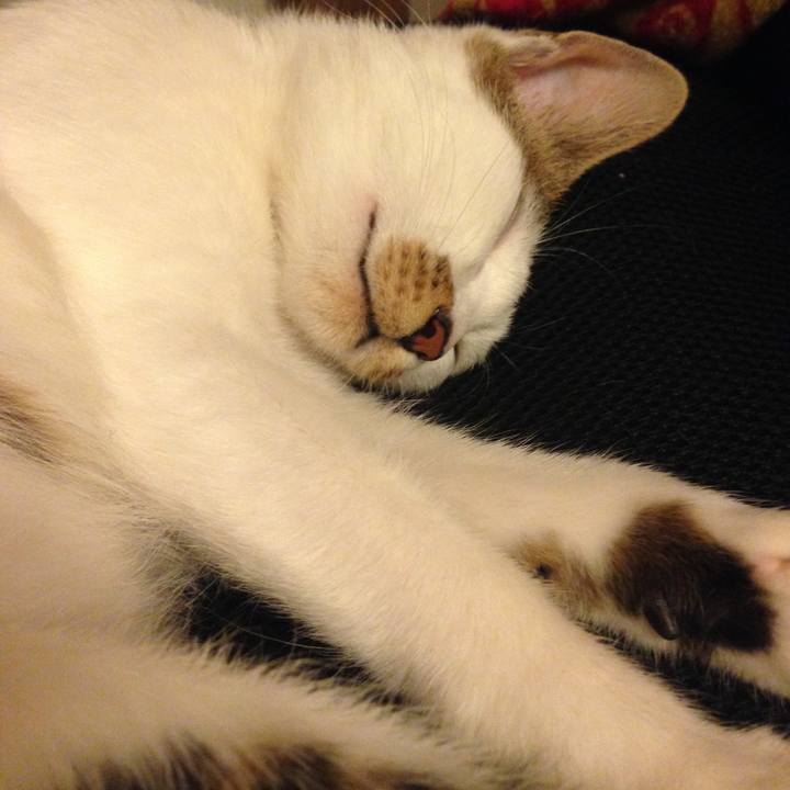 B6c622f0 e60a 418a b7c0 c00306b7014c