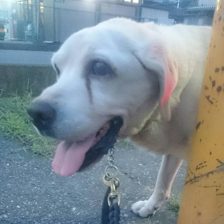 B6c794c1 c377 4243 b077 b1c03a598525