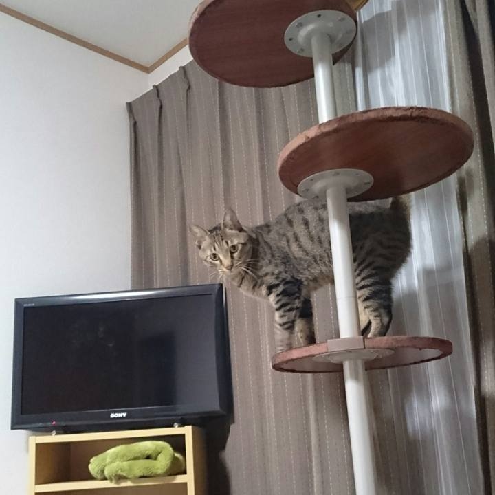 B6c87805 6c56 4d3d 8dd2 38656f328d09