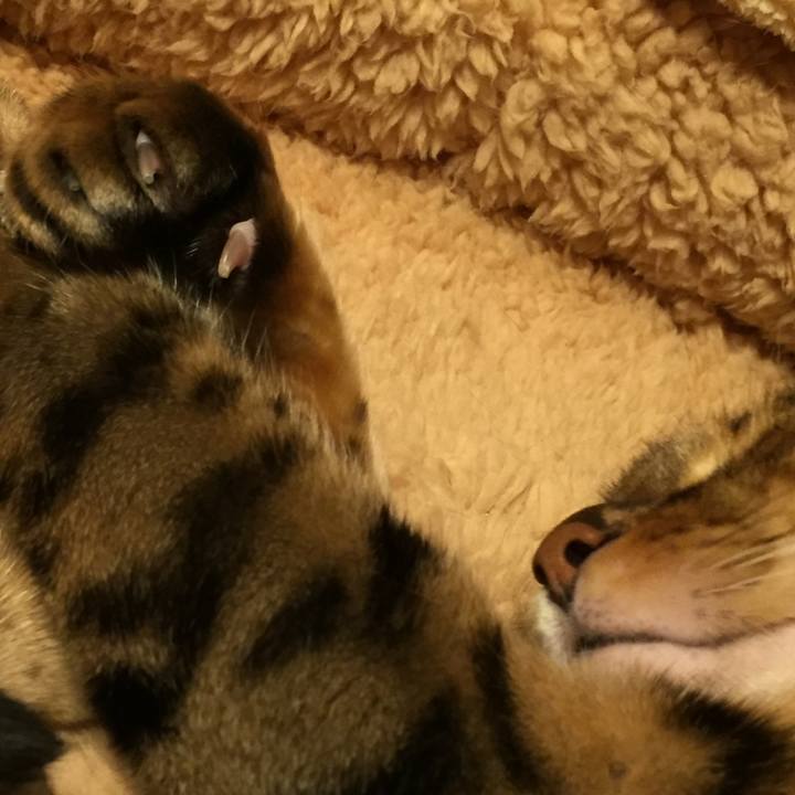 B6c8c884 a0eb 44bf ac63 e276021c65c9