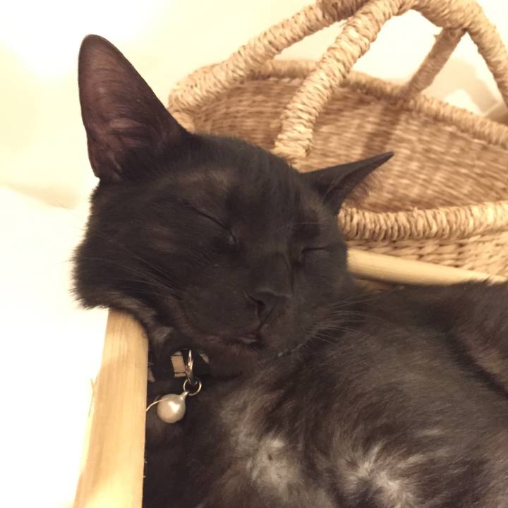 B6c98fea 4e6e 499f 9482 be2d88a3f4da