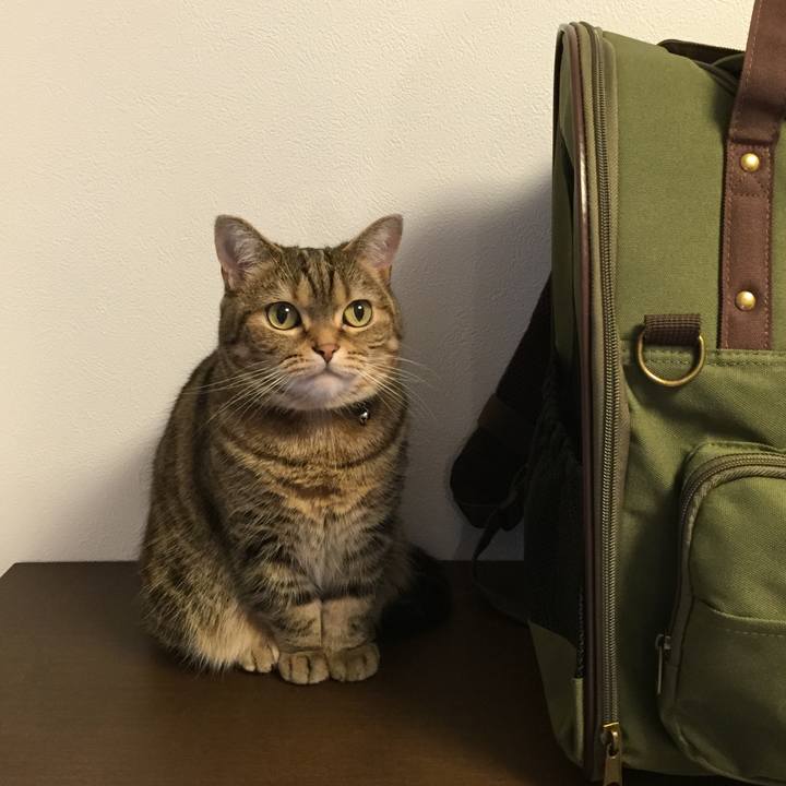 B6c9e7da 61c2 497f b7c8 6a39acf01ae7