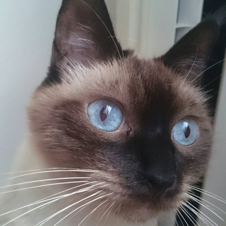 B6c9f033 fb90 4da1 9302 331cf8109272