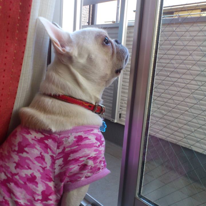 B6ca1696 b1aa 4ac6 9486 709f3f8975ba