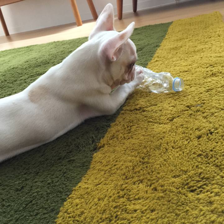 B6ca4a3d ad23 4481 9902 f404bf08d66e