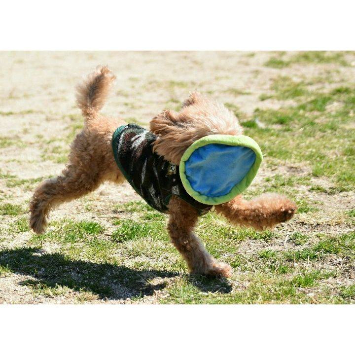 B6cba052 8e11 4fa8 bbe1 ee7fa9d1fc7b