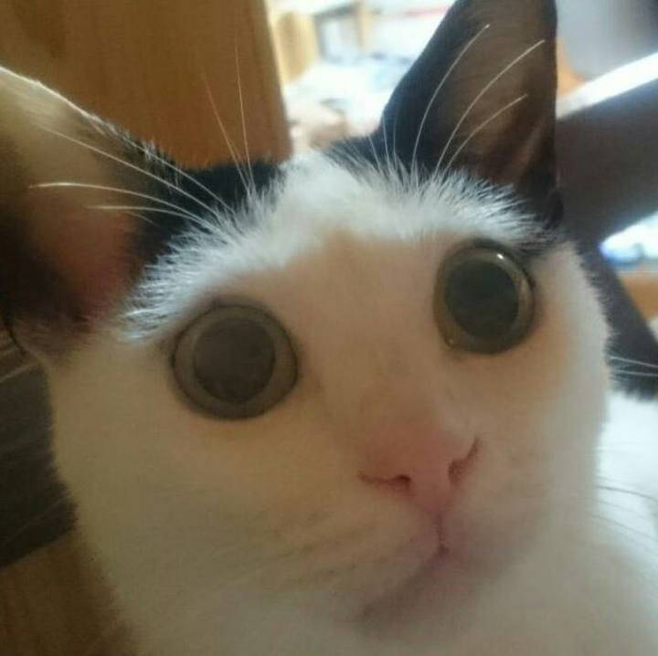 B6cc1680 ff16 480d 9a56 07b93d98800c