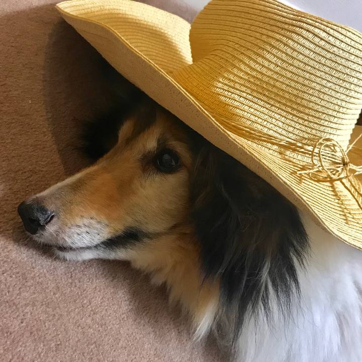 B6cc6b0d 04a8 4287 b642 dcae131826af