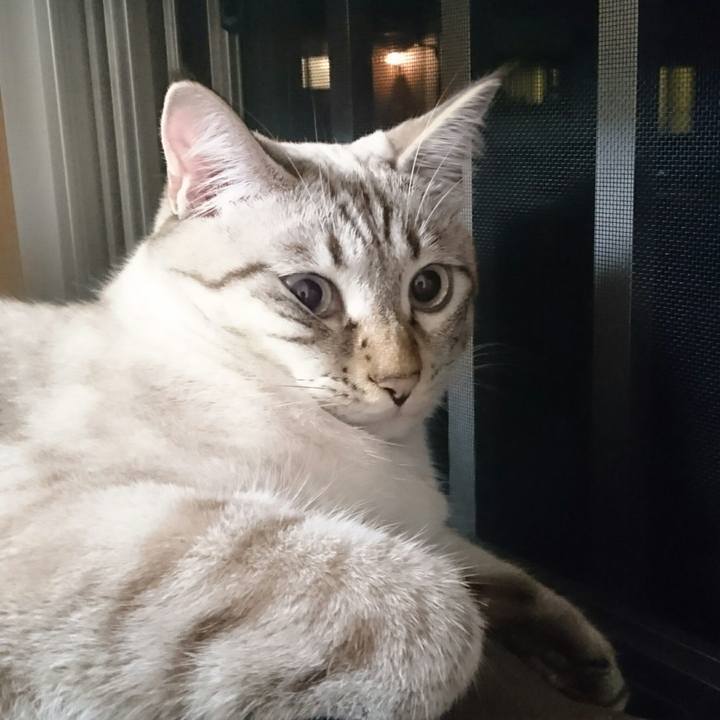 B6cce48d b2ea 4023 b4d5 89cde73e2a13