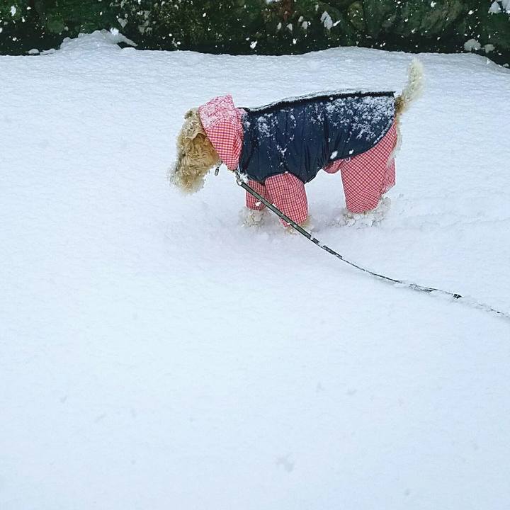 B6cce643 c9c6 4bb0 9989 d5cd4dc205a1