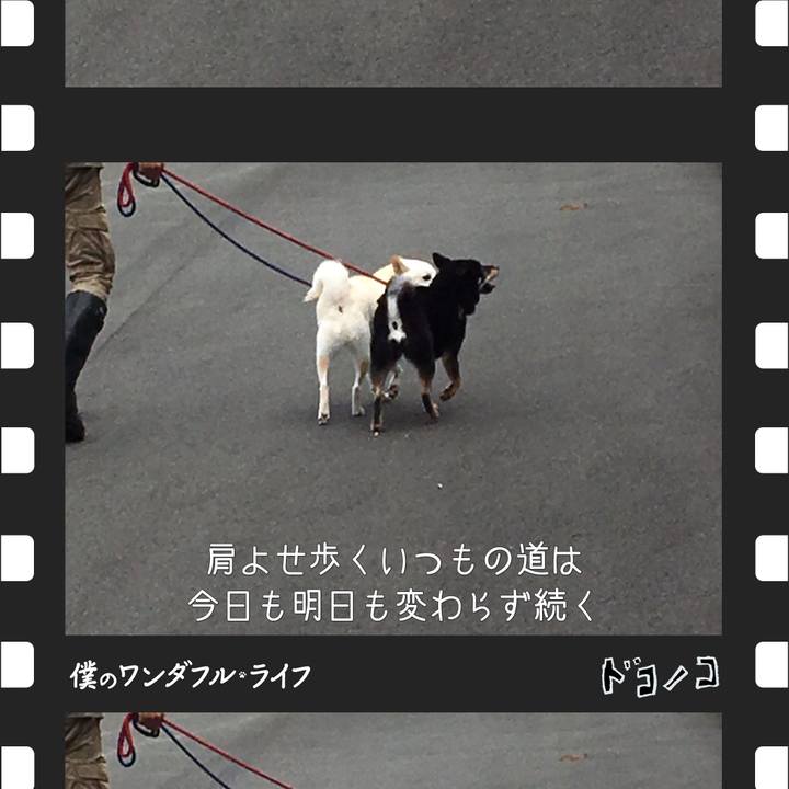 B6ce1fa1 5294 4273 bcd9 272496d5a0b9