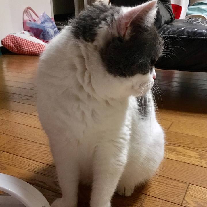 B6ce3678 9b39 4431 807e 2d75039c2d52