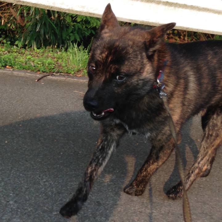 B6ce8edd 7f83 4830 85d1 eb4c68fedce8