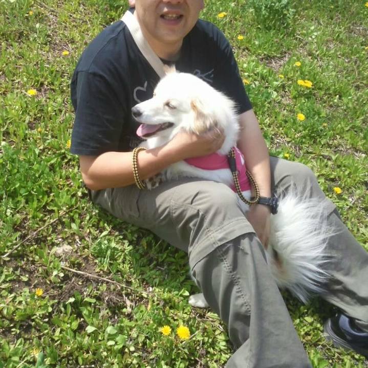 B6ceae2d afd6 4e8c 886e d8135ed728f3