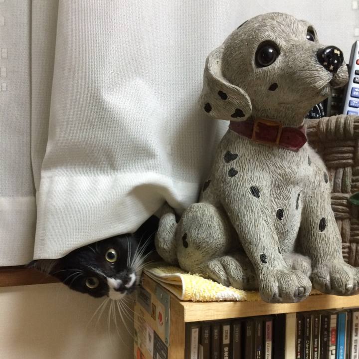 B6ceb2ef 2b9f 46c6 8ec1 b2212d925f22