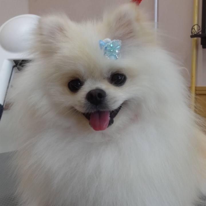 B6cf6f1b 80a2 4c40 b3e2 66d4f8f0b3f5