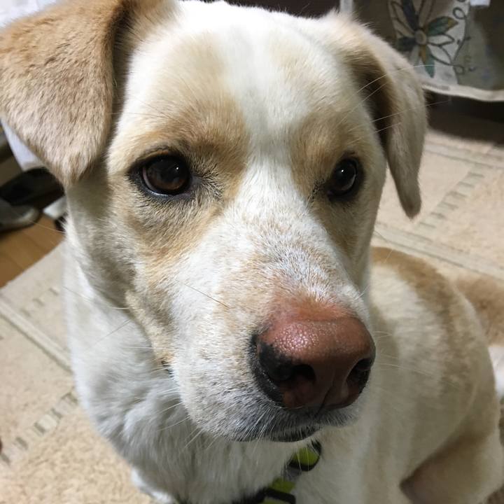 B6d01e10 9aa8 47f7 8804 a84552a215ea