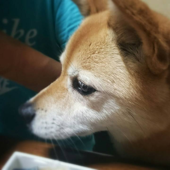 B6d079a6 370e 437f 92cf a9516b043cc8