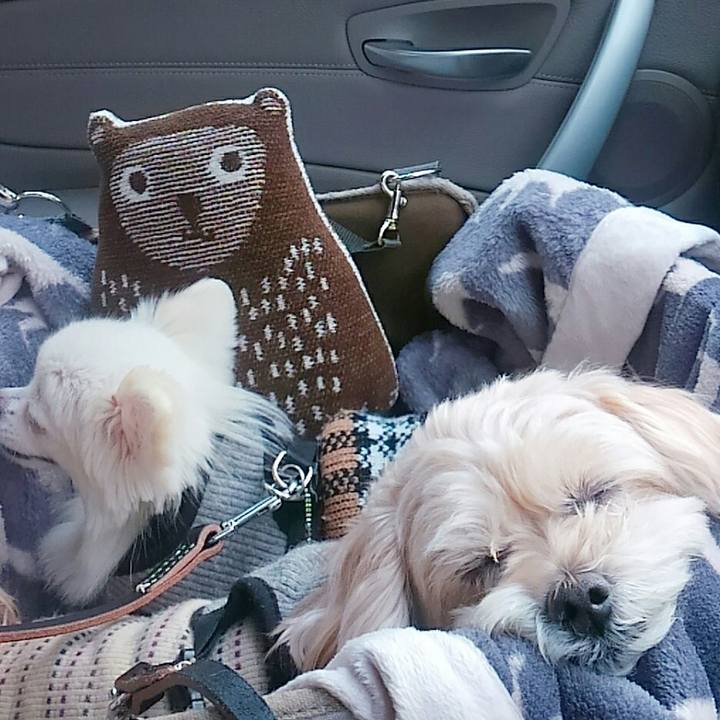 B6d091dc 5603 49eb a02e 83bd85d0661d