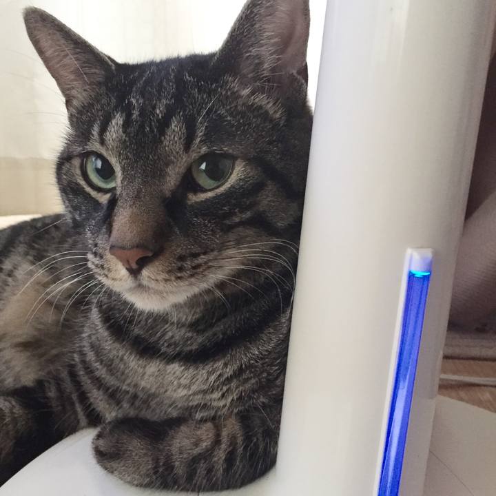 B6d0d0fc c161 457b 8a3e 7f2b918f7569