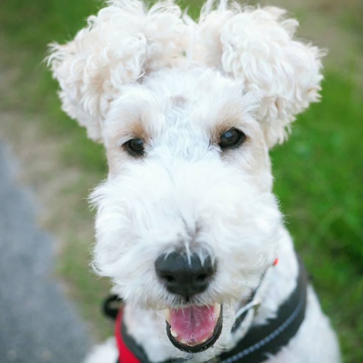 B6d1d8b1 cb4d 4fcb 996a c1da5a9f7057