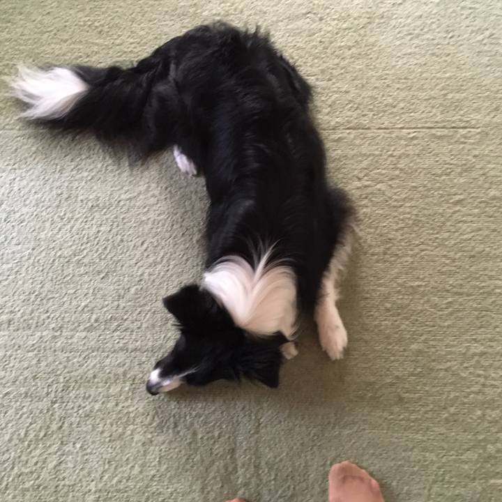 B6d2692a 15ee 43a9 99c6 f2cbb49da18f