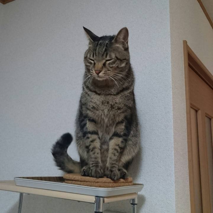 B6d2b7c5 1443 400e b1b3 6ddff74ba785