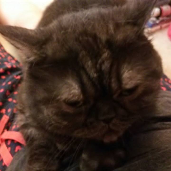 B6d2e312 be3f 4b86 818a 77e308f337e4