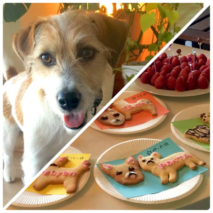 B6d323e8 8e46 4ab9 843d a511d953cfc7