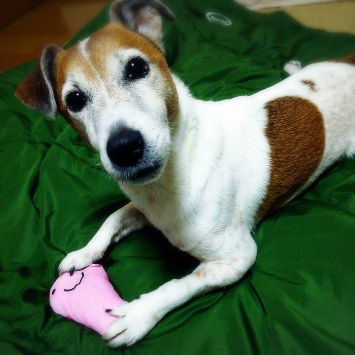 B6d33905 0950 47a9 99c7 c94908e35ecf