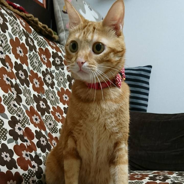 B6d3be6c 4c0e 4fc6 b584 f906f6372f90