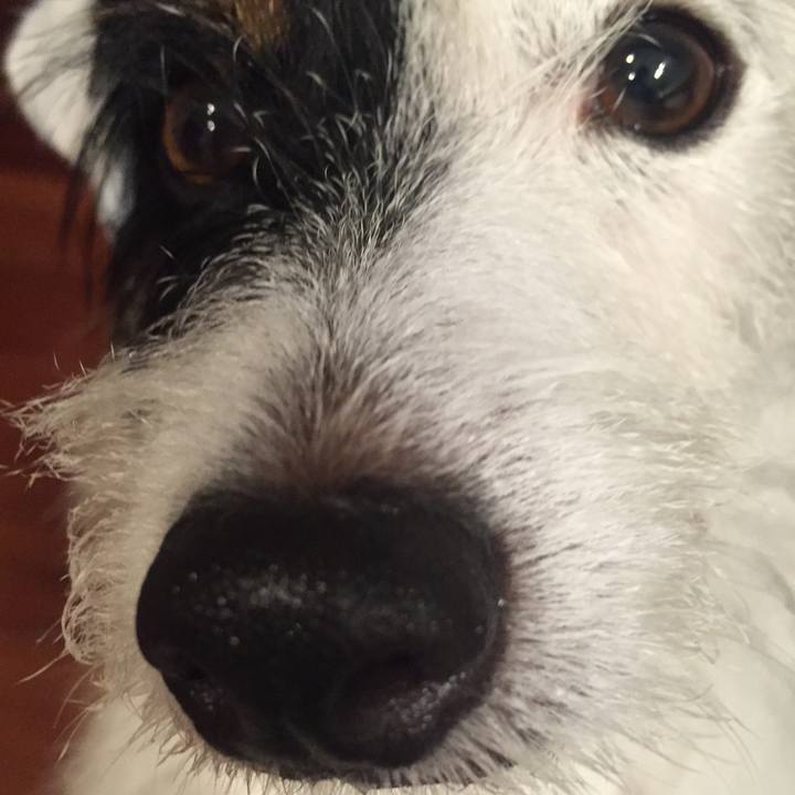 B6d40094 9657 4302 a533 0d541a0f5868