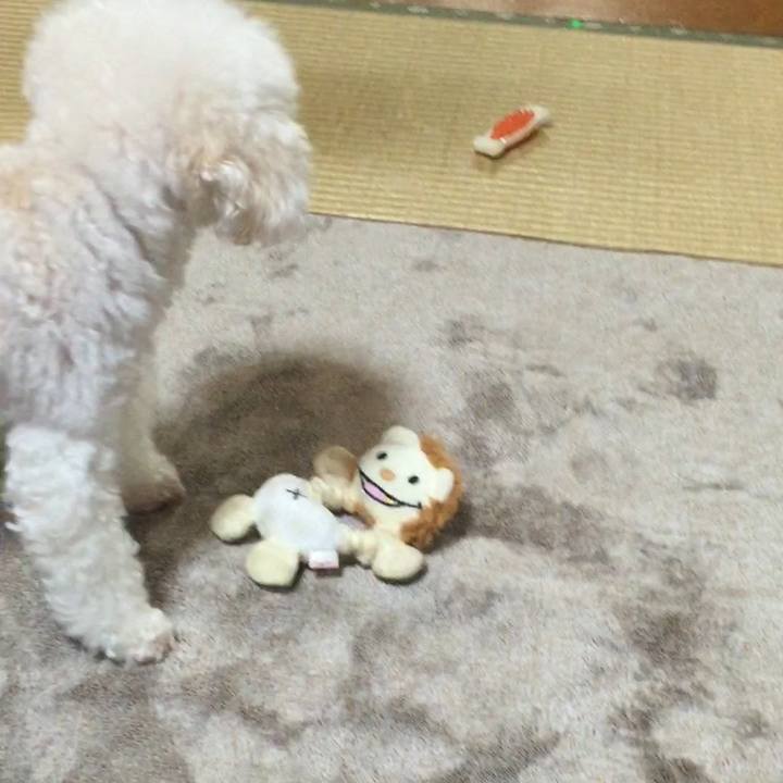 B6d42202 6e8b 44fc 9631 9fc0a0169767