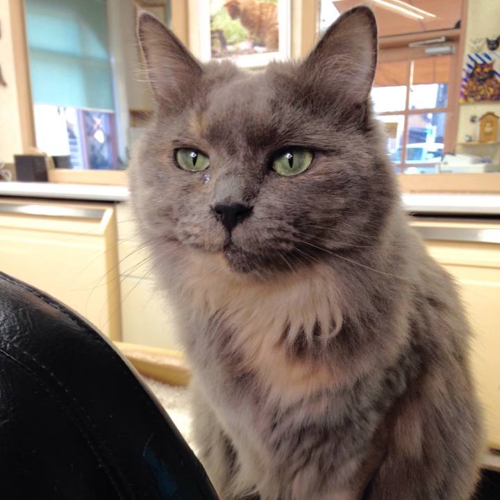 B6d55328 1248 4e8b 88db b0e029a3959b