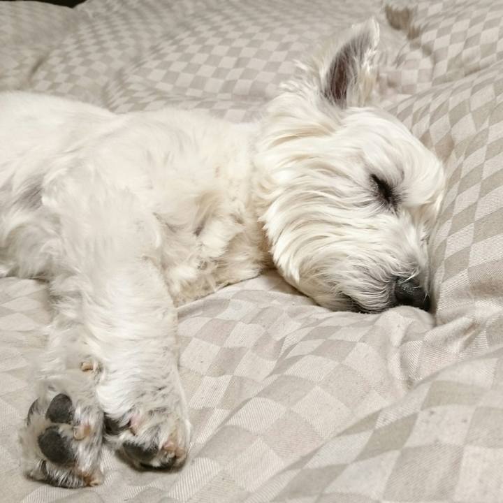 B6d60a25 8906 4c8d 992c 686655e67b8b