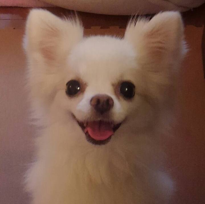 B6d652cf 85a4 4375 8003 72a0e08ea1b5