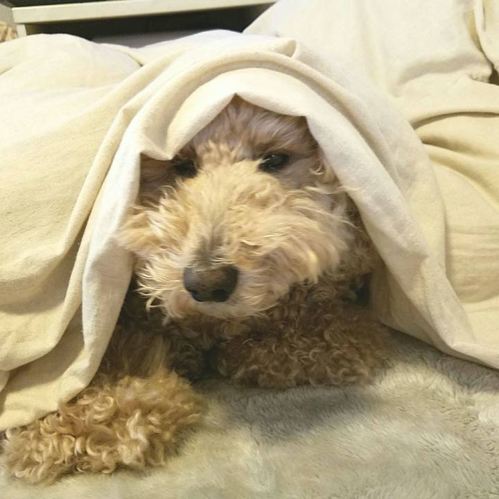 B6d66b58 27bc 40b2 ba70 6d7707e4b111