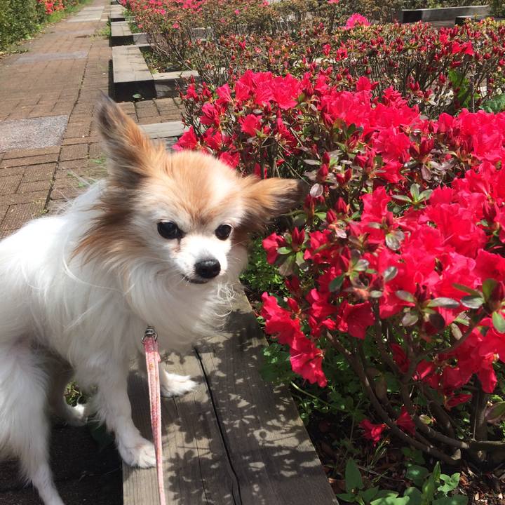 B6d692b8 025c 4b35 9474 22df98399541