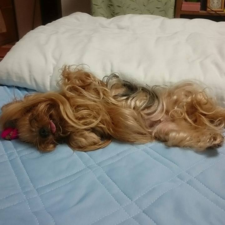 B6d6ec9c 3b49 4380 858d e8ce0d907b1d