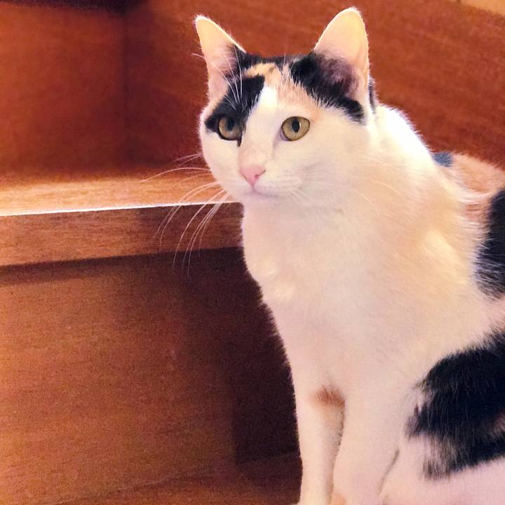 B6d76a38 d1db 437e 99f2 91343550faf2