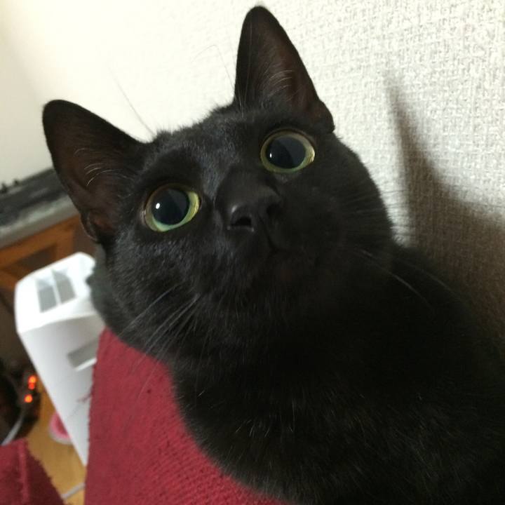 B6d87c7a e49a 48b2 853f cbb1a29cff38