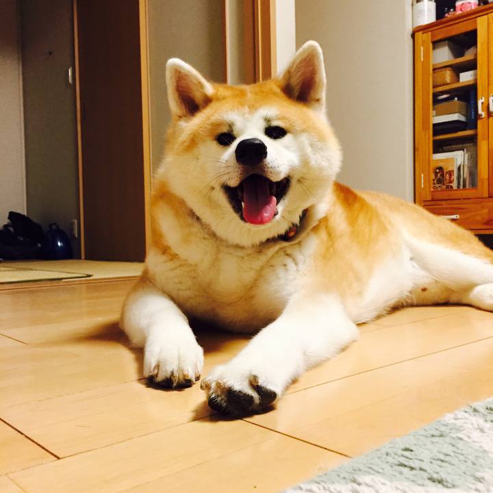 B6d8bd4f 2209 4be8 ad87 62501597066b