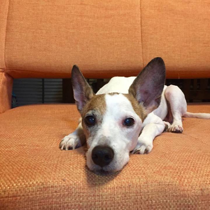 B6d8fba8 6ae6 4951 9346 bc36c259a680